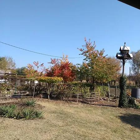 Lazy Days Penzion Debrecín