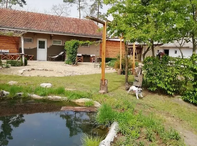 Pensjonat Lazy Days 3*